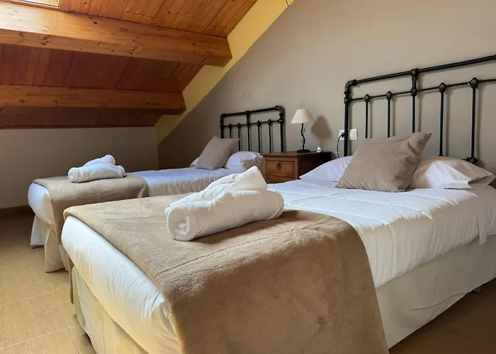 Internacional サリア